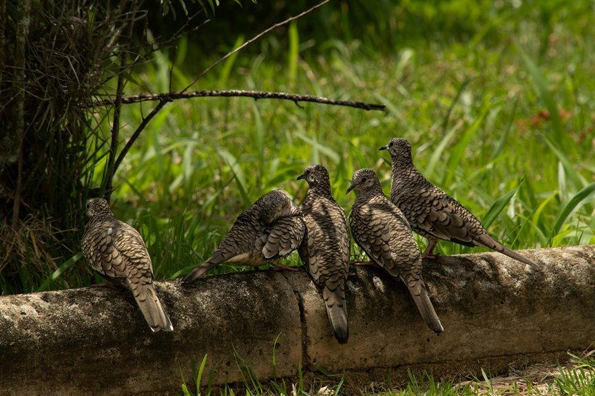 correlation pattern examination log